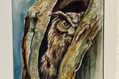 Eule