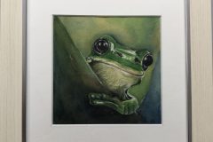 Frosch-scaled