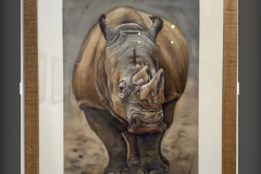 Hippo-1