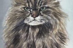 Katze2-scaled